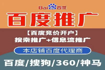 谷歌竞价广告与SEO结合的营销案例解析